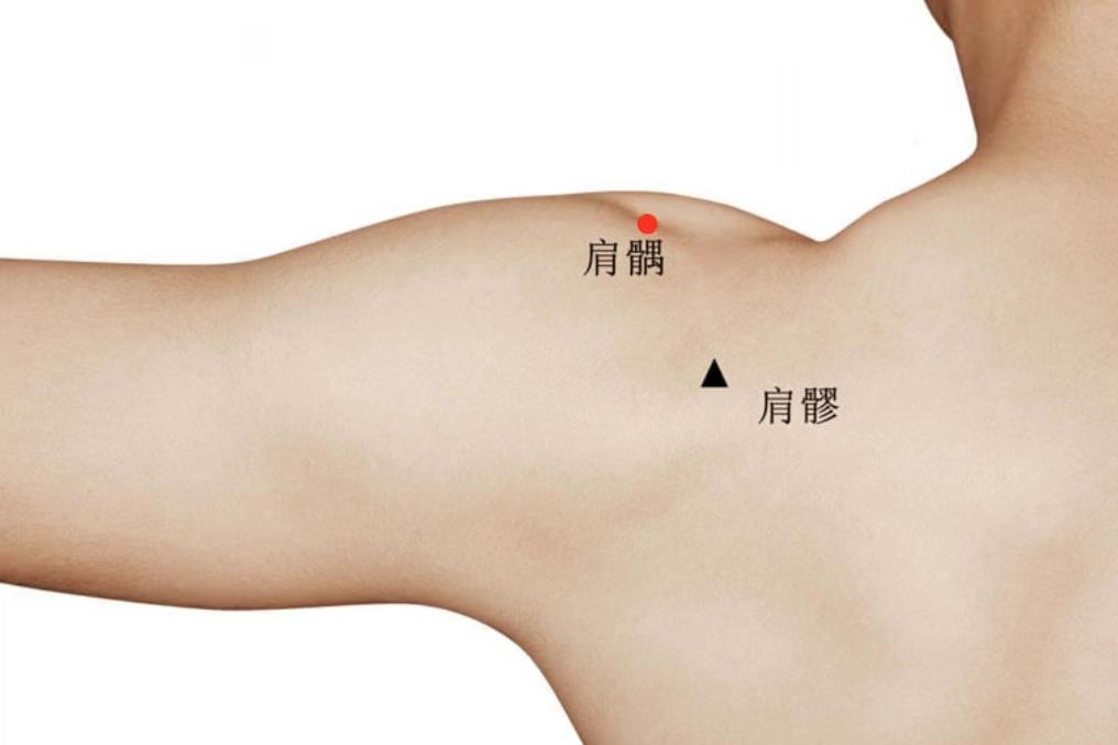 微信图片_20231203110627.jpg