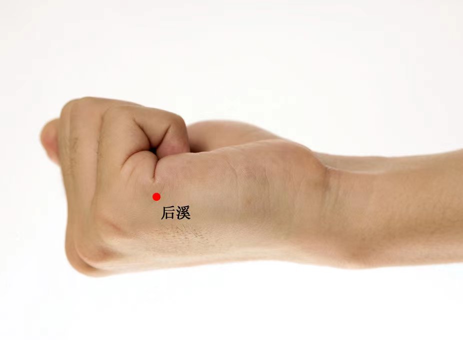 微信图片_20231203125331.jpg
